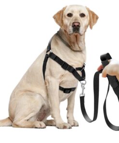 No Pull Dog Harness – Training Control Gear