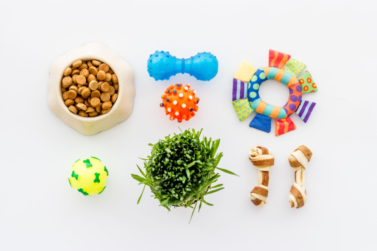 Pet Accessories
