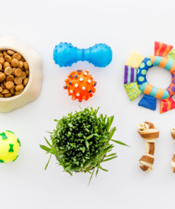 Pet Accessories