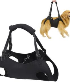Full Body Support Harness – Mobility Aid for Dogs
