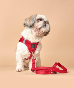 Harnesses & Control Gear