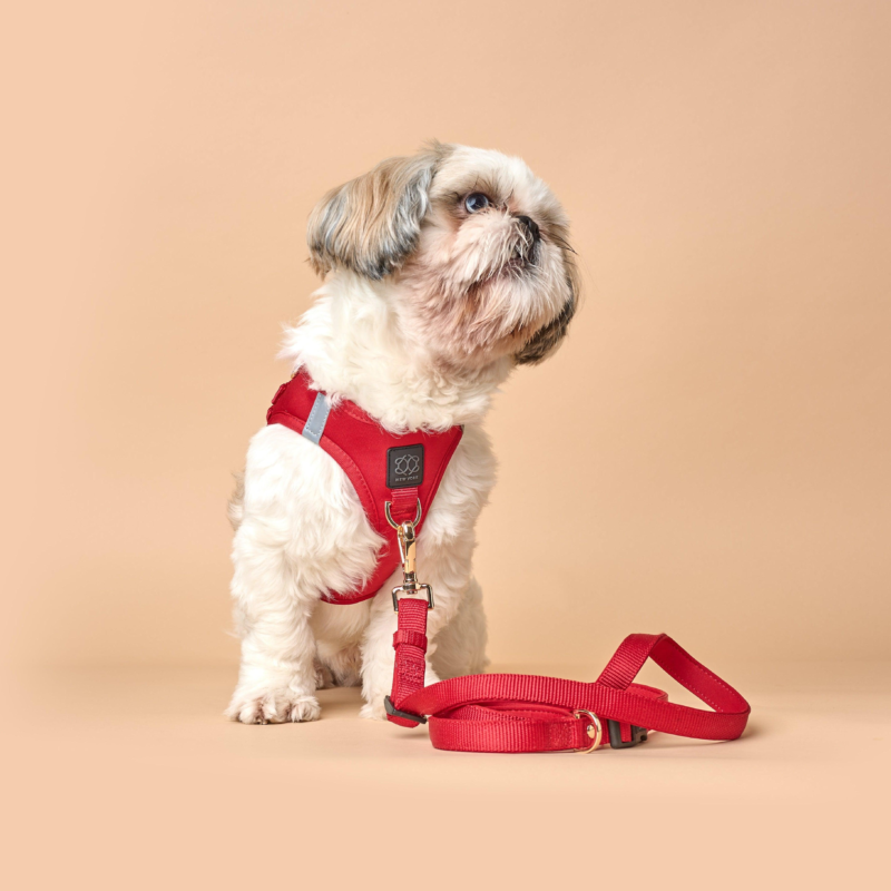 Harnesses & Control Gear
