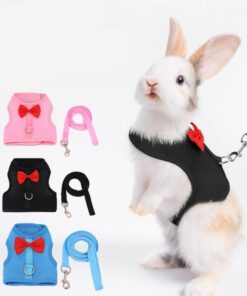 Small Pet Harness – Adjustable & Safe