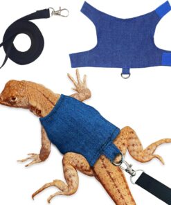 Iguana Leash Harness – Safe Outdoor Control