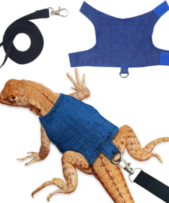 Small & Exotic Pets