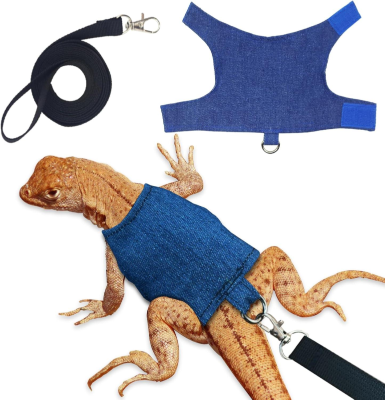 Small & Exotic Pets