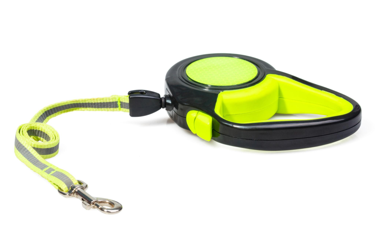 Dog Walking Essentials