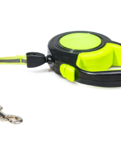 Dog Walking Essentials