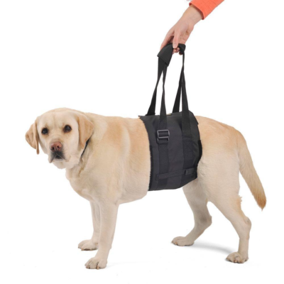 Support & Mobility